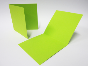 Lime Groen 13 x 13 cm (4 pagina's)