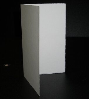 10 ex. Blanco Kaarten 4 pag. 14 x 19 cm Oud Hollands