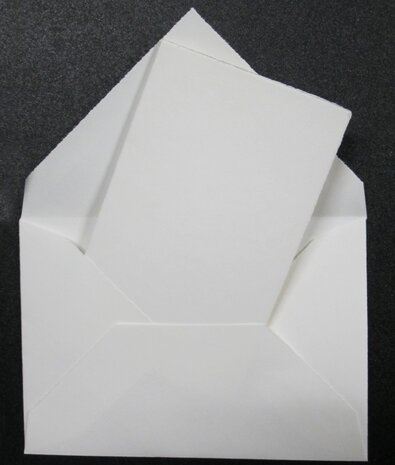 40 ex. Blanco Kaarten 4 pag. 14 x 19 cm Oud Hollands