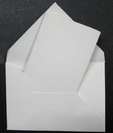 200 ex. Blanco Kaarten 4 pag. 14 x 19 cm Oud Hollands